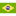 Português